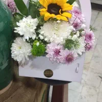 گل روز مادر حراج|عمدهفروشی|قزوین, |دیوار