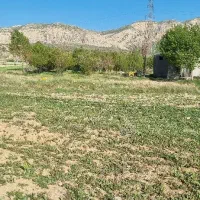باغچه 700 متری یکطرفه شیراز|فروش زمین و ملک کلنگی|شیراز, احمدآباد|دیوار