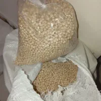 نخود محلی درجه یک