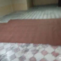 چندعددموکت درحدنو|موکت|سنندج, |دیوار