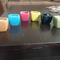 ۶عدد گلدان سرامیکی کاکتوسی
