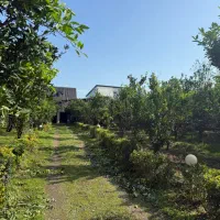 فروش باغ ویلا زیبا در تنکابن ،سند ششدانگ،|فروش خانه و ویلا|تنکابن, |دیوار