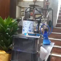 پیتزا زن کافه