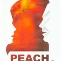 کتاب زبان peach 2