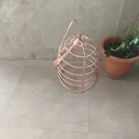 چاه ارت-میله راد- تست وتاییدیه ،همبندی -جوش کدولد|خدمات پیشه و مهارت|تهران, ایرانشهر|دیوار