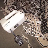 هم زن برقی ژاپنی اصل