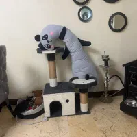 اسکیچرز
