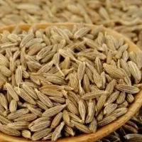 زیر سبز فروشی (کرابیه )