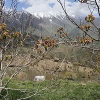 زمین/۹۰۰ متری/ استثنایی|فروش زمین و ملک کلنگی|شمشک, |دیوار