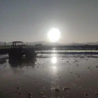 فروش زمین کشاورزی شش هکتار زمین بیضا|فروش زمین و ملک کلنگی|بیضا, |دیوار