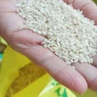 برنج عنبر بو شوشتر