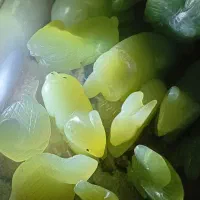 ۱۵عدد مجسمه یشم طبیعی تراش کهنه