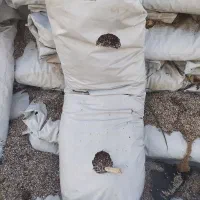 بستر مخلوط کوکوپیت و پرلیت