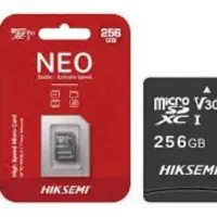 کارت حافظه ۲۵۶ گیگ