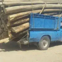 خرید انواع چوب تر و خشک خریدار