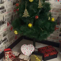 مدرس زبان انگلیسی/فرانسوی هستم