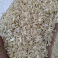 برنج چمپای چیتا کشت یاسوج|خوردنی و آشامیدنی|شیراز, تلخ داش|دیوار