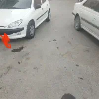 206مدل 91