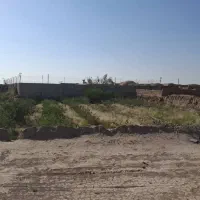 فروش زمین مناسب گاوداری،گلخانه،اسطبل،گلخانه|فروش زمین و ملک کلنگی|رفسنجان, |دیوار