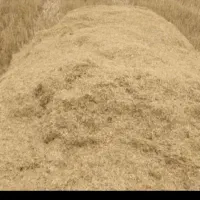 کاه نرم درجه یک کردستان