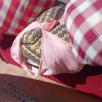 خانه از راین بیارم جیرفت