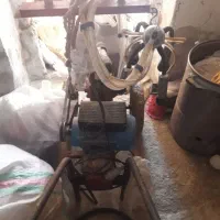 شیر دوش گاو