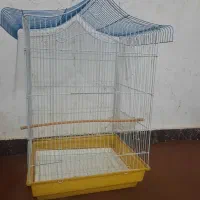 قفس عروس هلندی