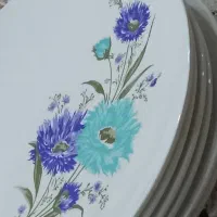 بشقاب ملامین