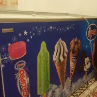 یخچال بستنی فریزلنددرحدنو