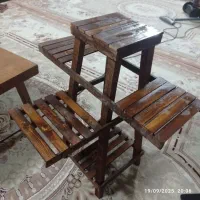 پایه گل رنگ قهوه ای سالم