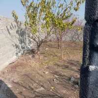 باغچه 198متری چهاردیواری شده