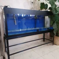 اکواریوم تکمیل