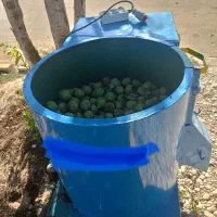 گردوپوست کنی