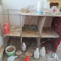 قفس جفت کنی کفتر