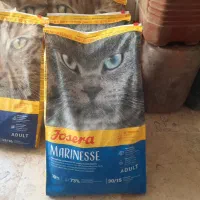 غذای گربه جوسرا|لوازم جانبی حیوانات|تهران, تجریش|دیوار