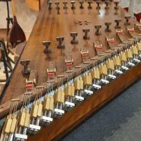 سنتور اصیل %