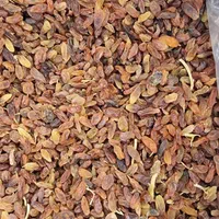 کشمش آفتابی درجه یکه خشکه کیسه سبز خدادادی|عمدهفروشی|مشهد, کوی سیدی|دیوار