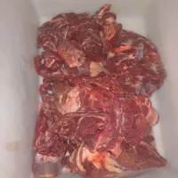 گوشت گوساله (بصورت عمده)