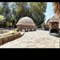 گرد توپ|خدمات پیشه و مهارت|خاش, |دیوار