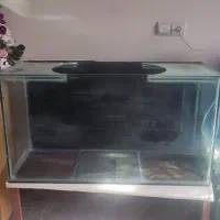 یک عدد آکواریوم با پایه