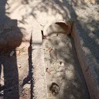 باغچه۲۵۹متری چسب مسکونی (چهار دیواری)|فروش زمین و ملک کلنگی|اسلام‌شهر, شهرک احمدیه|دیوار