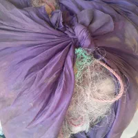 طورماهی