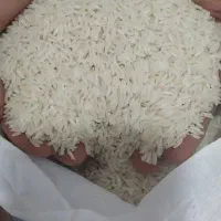 برنج طارم هاشمی یکدست