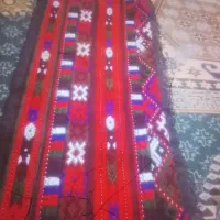 زی استین