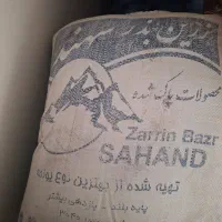 بذر یونجه پایه بلند همدانی