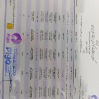 پلاکی|پرنده|سامان, |دیوار