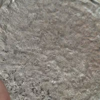 سینی عتیقه قلم‌کاری و امضادار