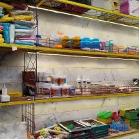 جوجه سرلاکی عروس|پرنده|زنجان, |دیوار