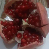 انار رباب|خوردنی و آشامیدنی|شیراز, نصر|دیوار