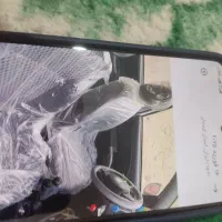 ساینا اس دوگانه